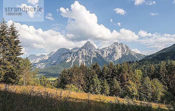 Wiese  Sonnenspitze im Hintergrund  Berglandschaft  bei Ehrwald  Tiroler Alpen  Tirol  Österreich  Europa