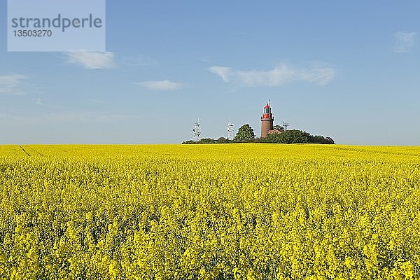 Leuchtturm Buk mit blühendem Rapsfeld  Bastorf  Mecklenburg Vorpommern  Deutschland  Europa