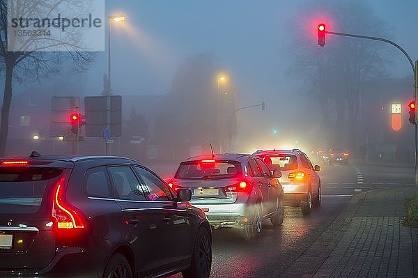 Autos an einer roten Ampel im Nebel bei Nacht  Verkehr  Grevenbroich  Nordrhein-Westfalen  Deutschland  Europa