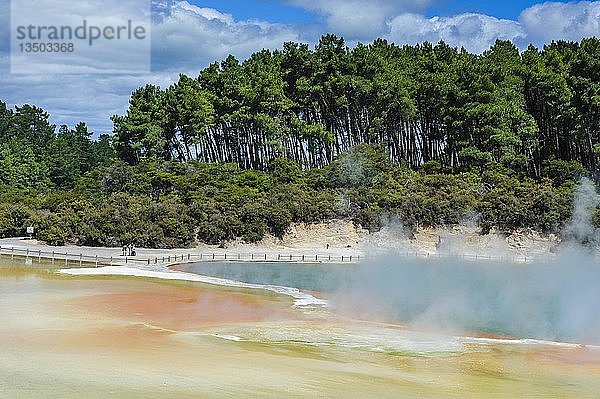 Der farbenfrohe champagnerfarbene Pool  Wai-O-Tapu Volcanic Wonderland  Nordinsel  Neuseeland  Ozeanien