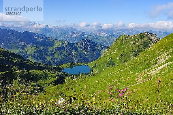 Seealpsee mit Seeköpfle  Blick vom Zeigersattel auf das Nebelhorn  Allgäuer Alpen  Oberstdorf  Oberallgäu  Allgäu  Schwaben  Bayern  Deutschland  Europa