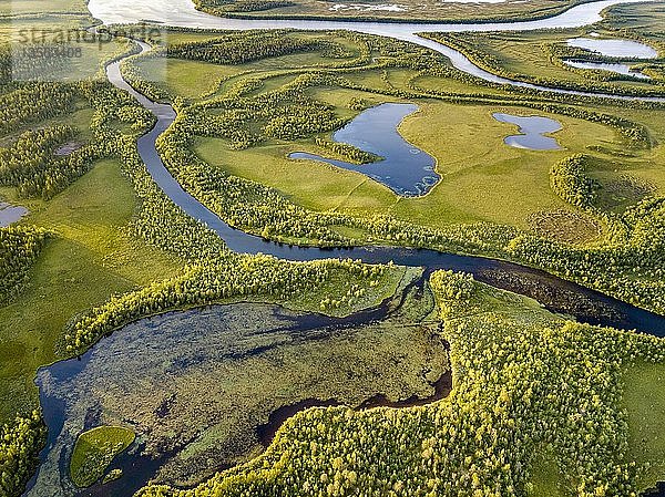 Drohnenansicht  Luftaufnahme des VuontisjÃ¤rvi  kleine Seen und MÃ?ndungen  Flussschleifen im borealen arktischen Wald mit Koniferen  Kiefern (Pinus) Karesuando  Norrbottens lÃ¤n  Schweden  Europa