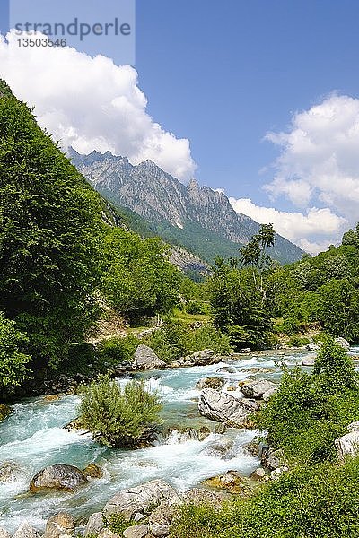 Fluss Valbona  Valbona-Tal  Valbona-Nationalpark  Albanische Alpen  Prokletije  Qar Kukes  Albanien  Europa
