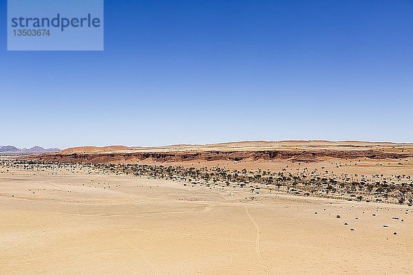 Luftaufnahme  versteinerte Dünen  Namib Desert Lodge  Namib-Wüste  Namib-Naukluft-Nationalpark  Namibia  Afrika