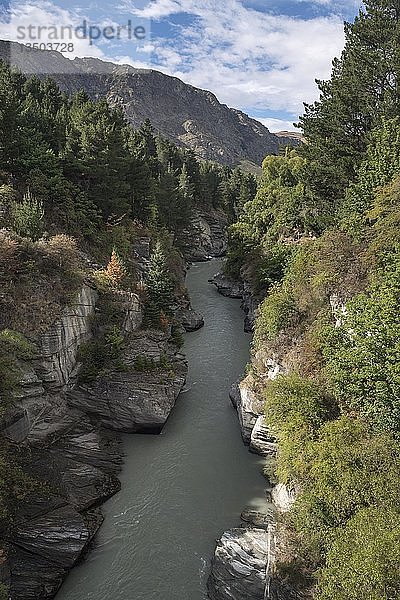 Blick in den Canyon des Shotover River  Queenstown  Otago  Südinsel  Neuseeland  Ozeanien