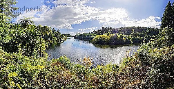 Idyllischer See inmitten des tropischen Regenwaldes  Lake Mangamahoe  Whanganui National Park  Nordinsel  Neuseeland  Ozeanien