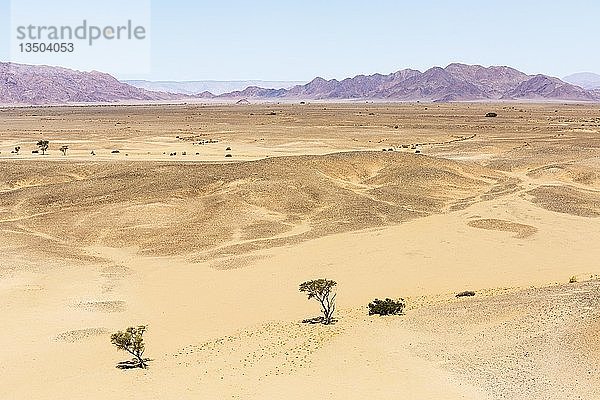 Luftaufnahme  Wüstenlandschaft  hintere Bergkette  Sossusvlei  Namib-Wüste  Namib-Naukluft-Nationalpark  Namibia  Afrika