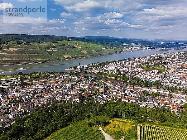 Luftaufnahme  Blick auf Nahe und Bimgen am Rhein  Weiler am Rhein  Region Bingen  Rheinland-Pfalz  Deutschland  Europa