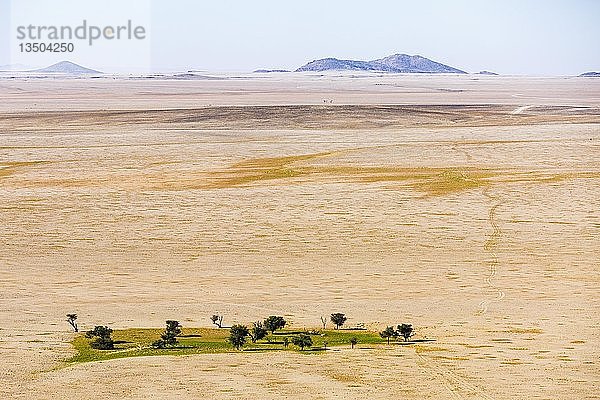 Luftaufnahme  grüne Oase in der Namib-Wüste  Namib-Naukluft-Nationalpark  Namibia  Afrika