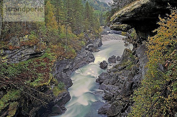 Herbststimmung  Fluss Rauma  Romsdalen  Provinz More og Romsdal  Norwegen  Europa
