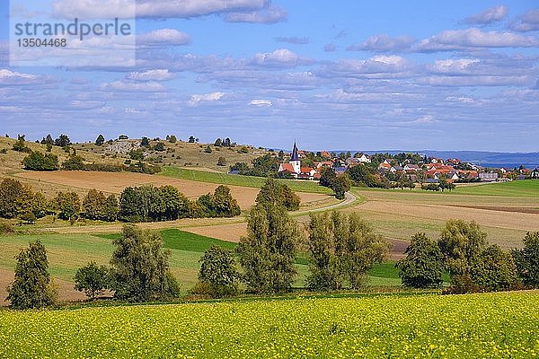 SchmÃ¤hingen im NÃ¶rdlinger Ries  bei NÃ¶rdlingen  Landkreis Donau-Ries  Schwaben  Bayern  Deutschland  Europa