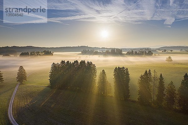 Bodennebel bei Sonnenaufgang  bei Dietramszell  Drohnenansicht  TÃ¶lzer Land  Alpenvorland  Oberbayern  Bayern  Deutschland  Europa