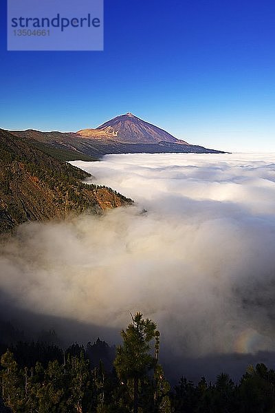 Pico del Teide bei Sonnenaufgang über Passatwolken  Teide-Nationalpark  Teneriffa  Kanarische Inseln  Spanien  Europa