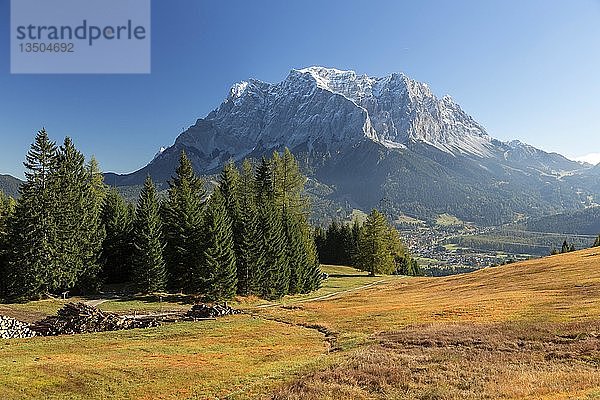 Blick auf die Zugspitze an einem Herbstmorgen vom Grubigstein  Lermoos  Tirol  Österreich  Europa