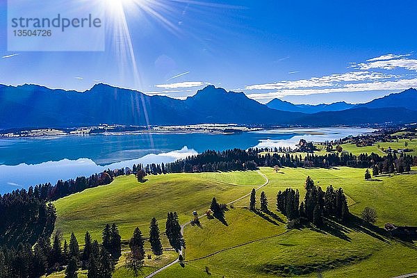 Forggensee Stausee vor den Alpen  Dietringen  OstallgÃ¤u  Bayern  Deutschland  Europa