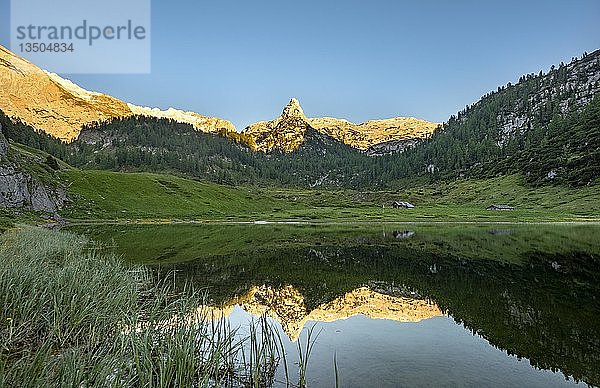 Schottmalhorn spiegelt sich im Funtensee bei Sonnenuntergang  Steinernes Meer  Nationalpark Berchtesgaden  Bayern  Deutschland  Europa