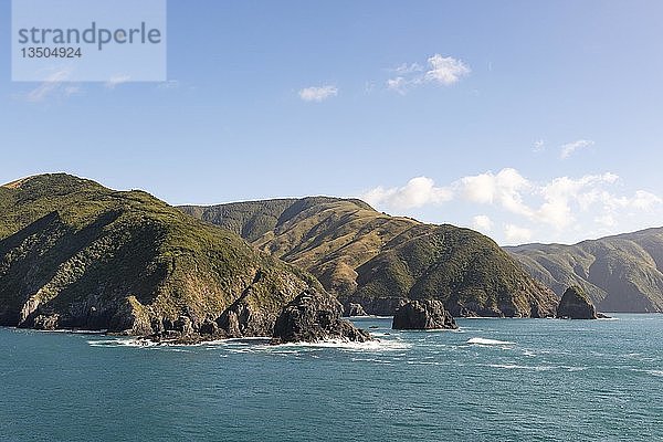 Felsenküste  Marlborough  Marlborough Sounds  Picton  Südinsel  Neuseeland  Ozeanien