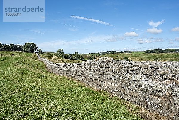 Hadrian s Wall bei Haltwhistle  Northumberland  England  Vereinigtes Königreich  Europa'