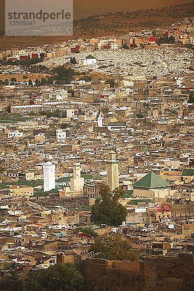 Stadtbild Fez  Fès-Meknès  Marokko  Afrika