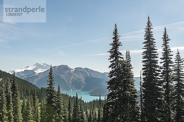 Blick auf den Garibaldi-See  Wald und schneebedeckte Berge  Panorama Ridge Trail  Garibaldi Provincial Park  British Columbia  Kanada  Nordamerika