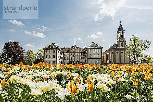 Schloss Mainau und Schlosskirche  und blühende Tulpen  Insel Mainau  Bodensee  Baden-Württemberg  Deutschland  Europa