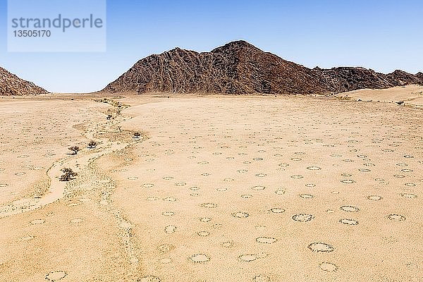 Luftaufnahme  Feenkreise im Wüstensand  Namib-Wüste  Namib-Naukluft-Nationalpark  Namibia  Afrika