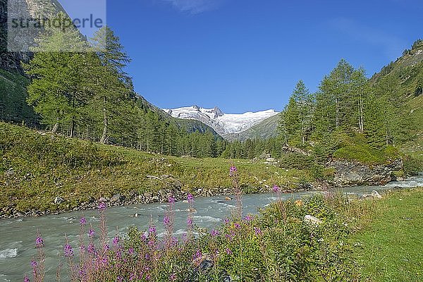 Gschlößbach im Tauerntal  hinter Schwarze Wand  Hoher Zaun und Großvenediger  Venedigergruppe  Nationalpark Hohe Tauern  Osttirol  Österreich  Europa