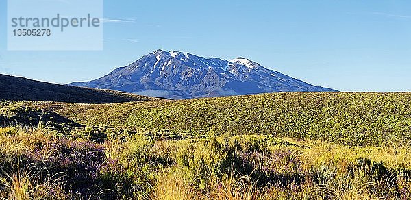 Der schneebedeckte vulkanische Mount Ruapehu im Tongariro-Nationalpark  Manawatu-Wanganui  Nordinsel  Neuseeland  Ozeanien