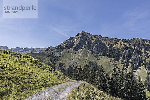 Wanderweg mit Blick auf den Berg Arvigrat  Nidwalden  Schweiz  Europa