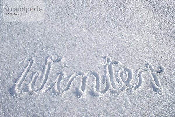 Das Wort Winter steht auf einer unberührten Schneedecke