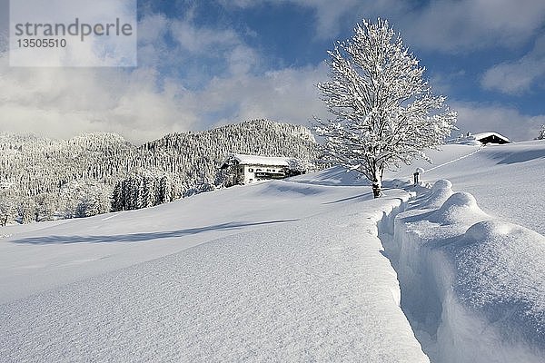 Winterlandschaft  schneebedecktes Bauernhaus  Bischofswiesen  Berchtesgadener Land  Oberbayern  Bayern  Deutschland  Europa