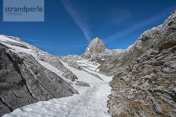 Gipfel Wildalmrotenkopf  Wanderweg mit Schneefeldern zur Wasseralm über Niederbrunnsulzen  Steinernes Meer im Frühling mit Schnee  Nationalpark Berchtesgaden  Bayern  Deutschland  Europa