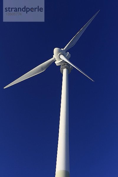 Windrad  Windkraft  Grüner Heiner  Stuttgart-Weilimdorf  Baden-Württemberg  Deutschland  Europa