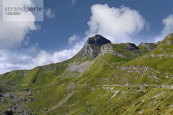 Berg Uvita Greda  Passstraße im Durmitor-Massiv  Durmitor-Nationalpark  bei Zabljak  Montenegro  Europa