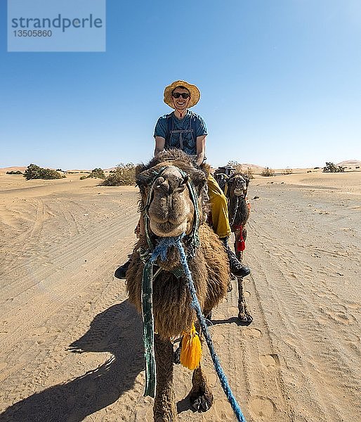 Junger Mann reitet auf einem Kamel  Karawane mit Dromedar (Camelus dromedarius)  Wüste  Erg Chebbi  Merzouga  Sahara  Marokko  Afrika