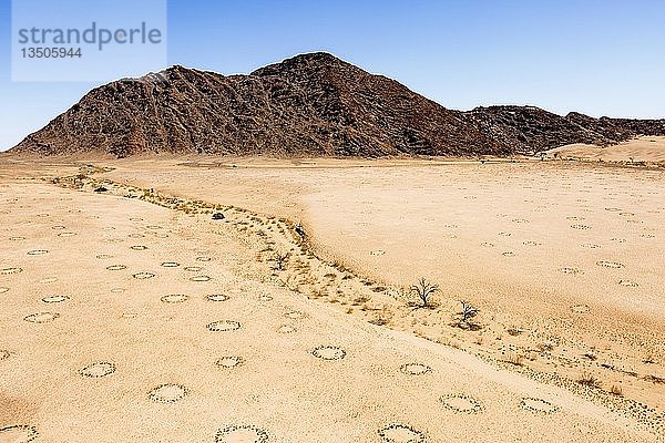 Luftaufnahme  Feenkreise im Wüstensand  Namib-Wüste  Namib-Naukluft-Nationalpark  Namibia  Afrika