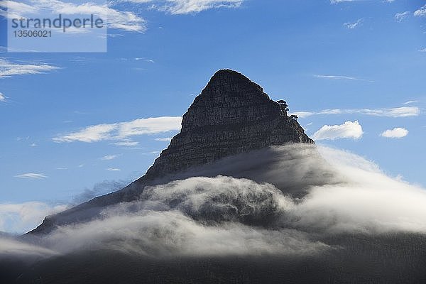 Blick von Camps Bay zum Lion's Head  Kapstadt  Westkap  Südafrika  Afrika