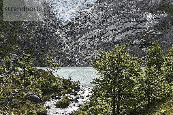 Schmelzender Gletscher mit See und Wald  Glaciar Huemulam Lago del Desierto  bei El Chalten  Patagonien  Argentinien  Südamerika