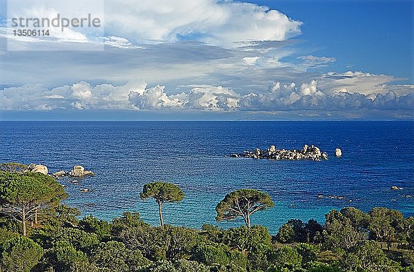 Bucht von Palombaggia mit türkisblauem Meer  Porto Vecchio  Departement Corse-du-Sud  Korsika  Frankreich  Europa