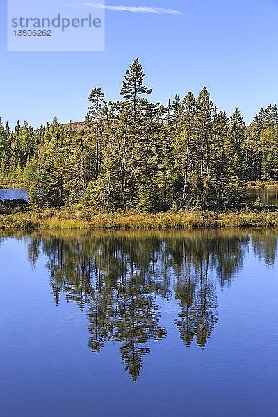 Wasserspiegelung der BÃ?ume im See  Lac Dix Miles  Mont Tremblant National Park  Provinz QuÃ©bec  Kanada  Nordamerika