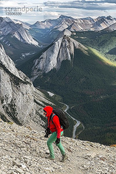 Wanderin auf dem Gipfel  Sulphur Skyline Trail  Blick auf Brgslandschaft  Panoramablick  Nikassin Range  Jasper National Park  British Columbia  Kanada  Nordamerika