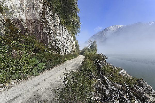 Schotterstraße mit Regenbogen bei Puerto Río Tranquilo  Carretera Austral  Valle Exploradores  Patagonien  Chile  Südamerika