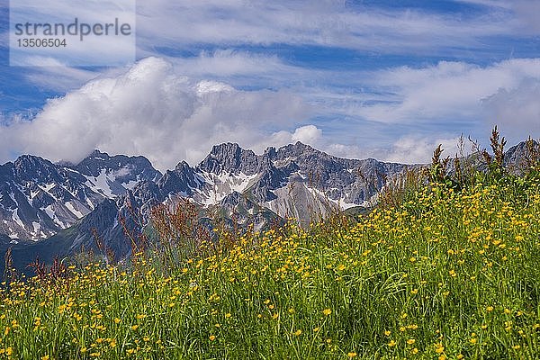 Blick vom Fellhorn  Berge Schüsser  2259m  Hochgehrenspitze  2251m  und Hammerspitze  2170m  Oberallgäu  Bayern  Deutschland  Europa