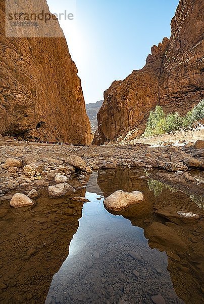Gorges Toudra oder Todgha-Schlucht  Schlucht aus Sandsteinfelsen  Spiegelung im Fluss  AÃ¯t Baha  Tinghir  Marokko  Afrika