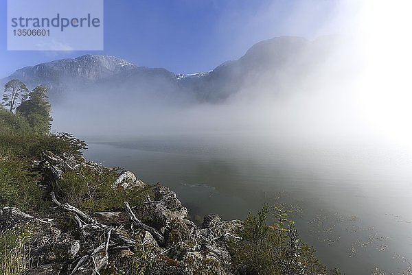 Der Bayo-See im Nebel  bei Puerto Río Tranquilo  Carretera Austral  Valle Exploradores  Laguna San Rafael Nationalpark  Patagonien  Chile  Südamerika