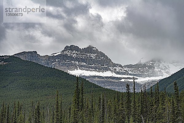 Schneebedeckte Berge hinter Wald  Icefields Parkway  Jasper National Park National Park  Canadian Rocky Mountains  Alberta  Kanada  Nordamerika