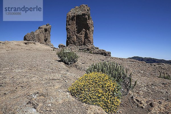 Roque Nublo  Kultfelsen der Altkanaren  Gran Canaria  Kanarische Inseln  Spanien  Europa
