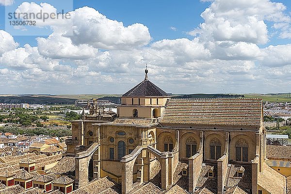 Blick auf die Kathedrale Moschee von Cordoba  Andalusien  Spanien  Europa