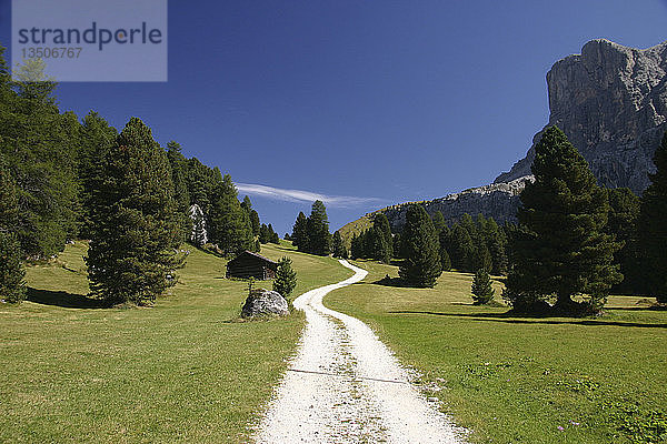 Weg  Almwiese  Südtirol