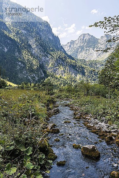 Fluss flieÃŸt durch Sumpf  KÃ¶nigssee  Berchtesgaden  Oberbayern  Bayern  Deutschland  Europa